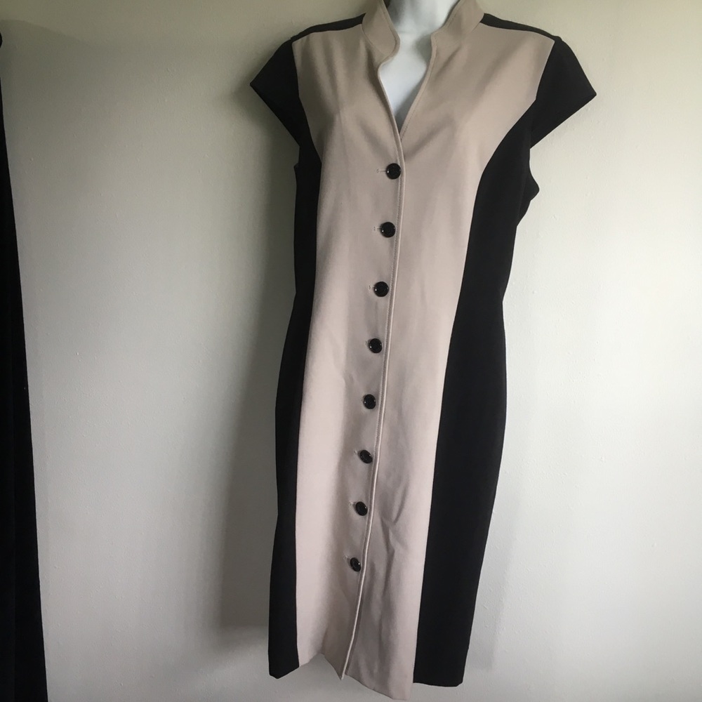 Calvin Klein slenderizing button front sheath  12